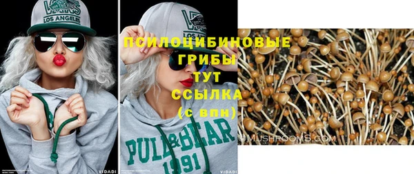 прущая мука Богородицк