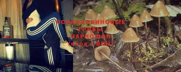 jwh Арсеньев