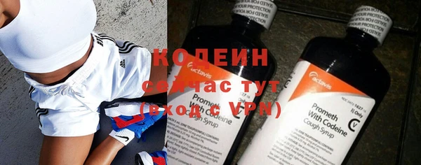 ПСИЛОЦИБИНОВЫЕ ГРИБЫ Богданович