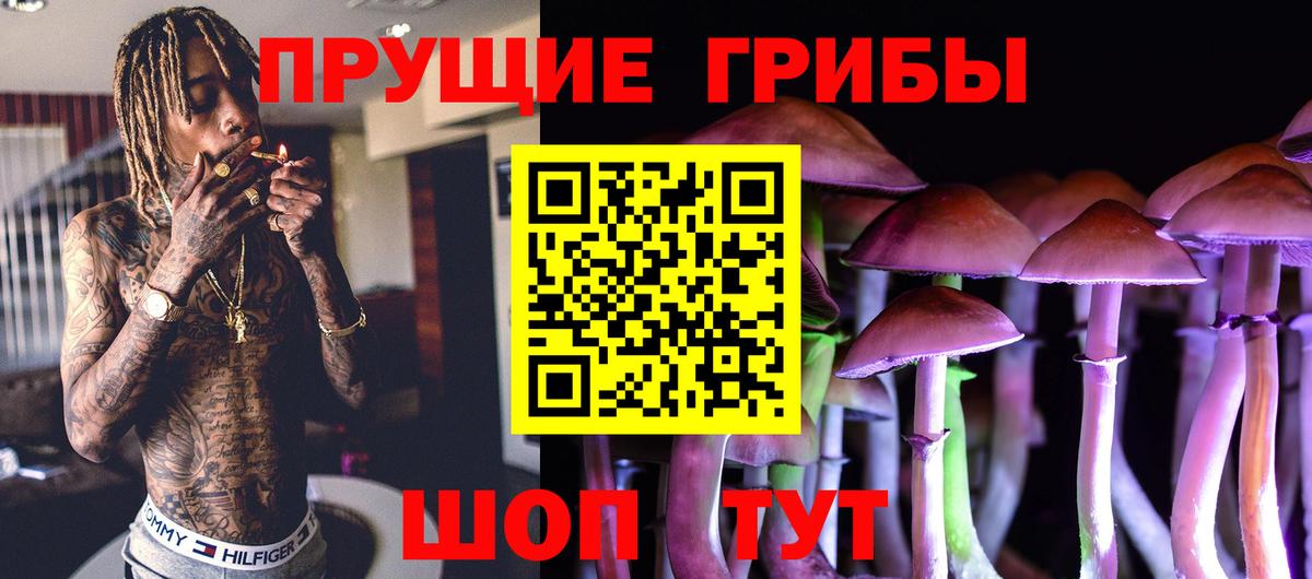 Псилоцибиновые грибы мицелий Спасск-Дальний